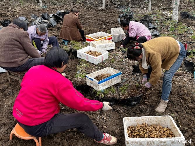 宁陕县静默区重症详情/宁陕县最新情况