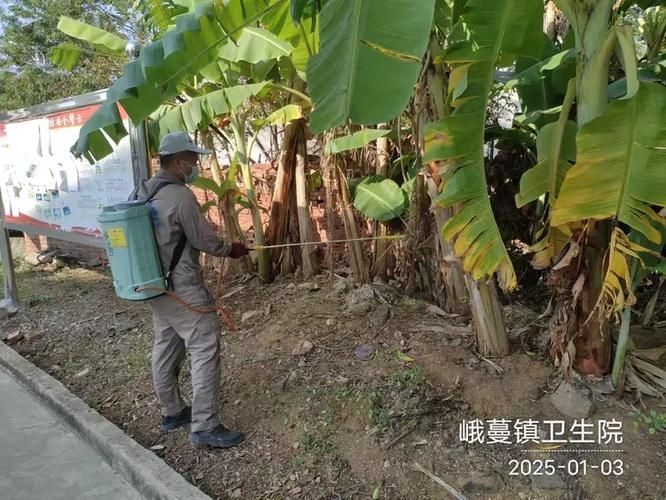 海南省儋州市峨蔓镇疫情解封最新消息(儋州市峨蔓镇有哪些村)