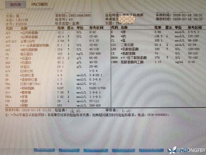 31省新增阳性感染者1例西藏自治区拉萨市曲水县29例/拉萨新冠病例