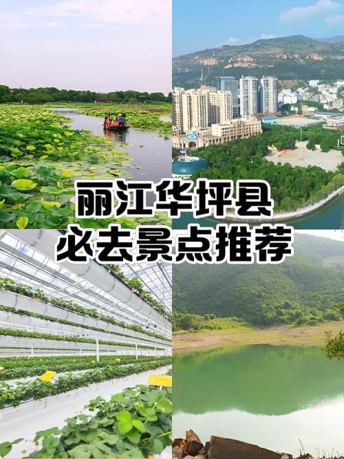  31省区市新增本土确诊2例云南省丽江市华坪县9例:丽江华坪的区号是多少