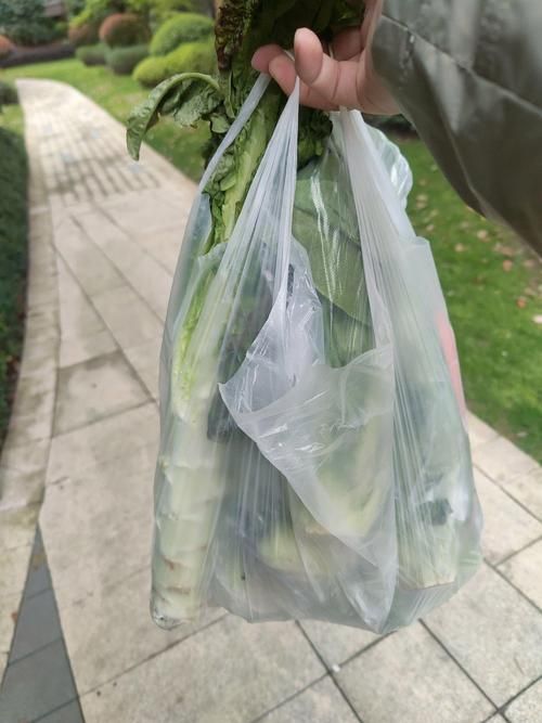 【31省份增2例无症状感染者_31省增本土126例无症状113例】