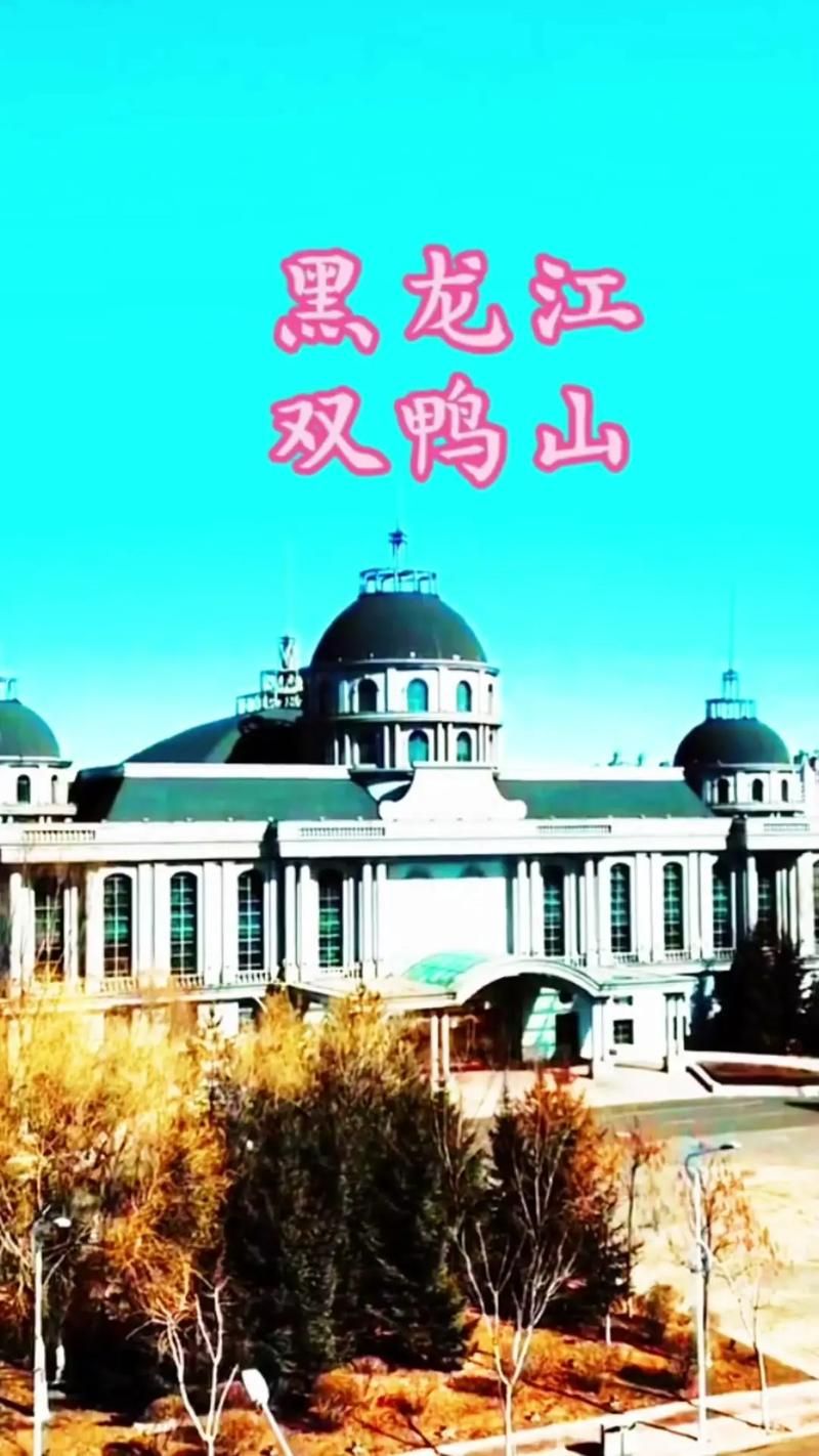  一张图看懂黑龙江省双鸭山市岭东区昨日轨迹公布:双鸭山岭东老照片