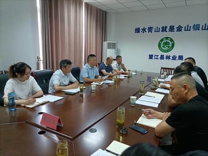 安徽省安庆市望江县什么时候可以静默(安庆望江县啥时候设市)