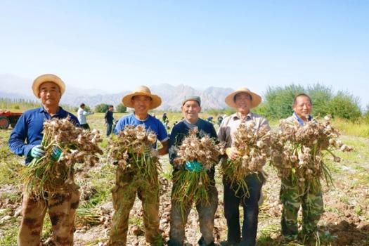 阿合奇县昨日新增破10/阿合奇县新闻今日