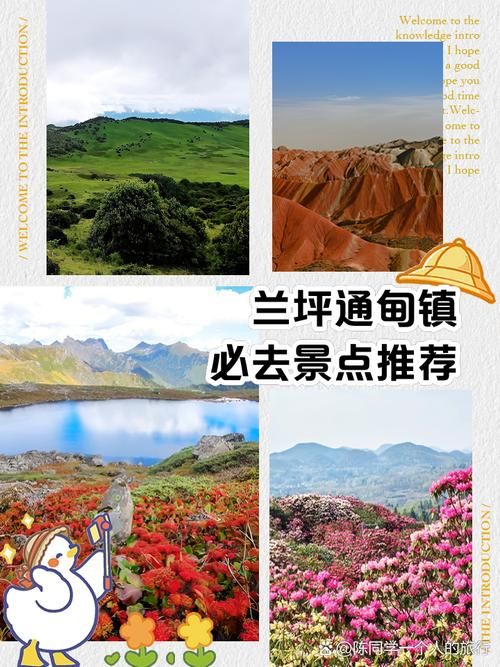 关于云南省怒江傈僳族自治州兰坪白族普米族自治县管控区标准最新公布的信息