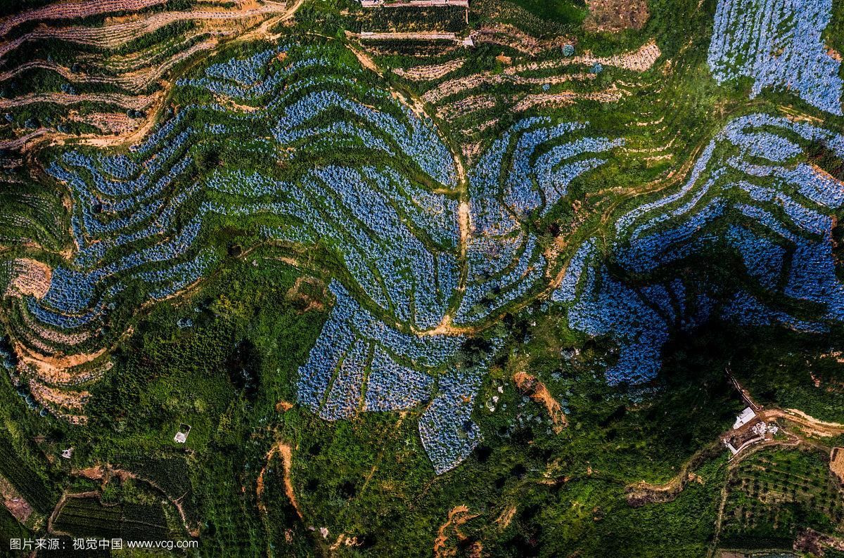 云南省红河哈尼族彝族自治州泸西县什么时候可以封城/云南省红河州泸西县疫情防控工作