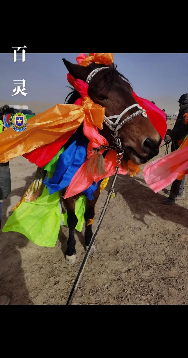 【都兰县新增8例阳性感染者，从境外抵辽宁辽阳宏伟区,都兰县属于哪个地区】